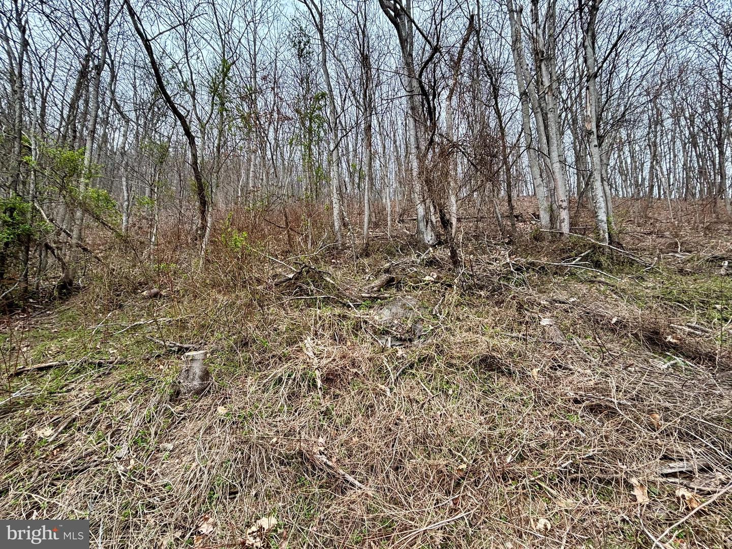 LOT 11B LUCAS HOLLOW RD, STANLEY, Virginia 22851, ,Land,For sale,LOT 11B LUCAS HOLLOW RD,VAPA2004684 MLS # VAPA2004684