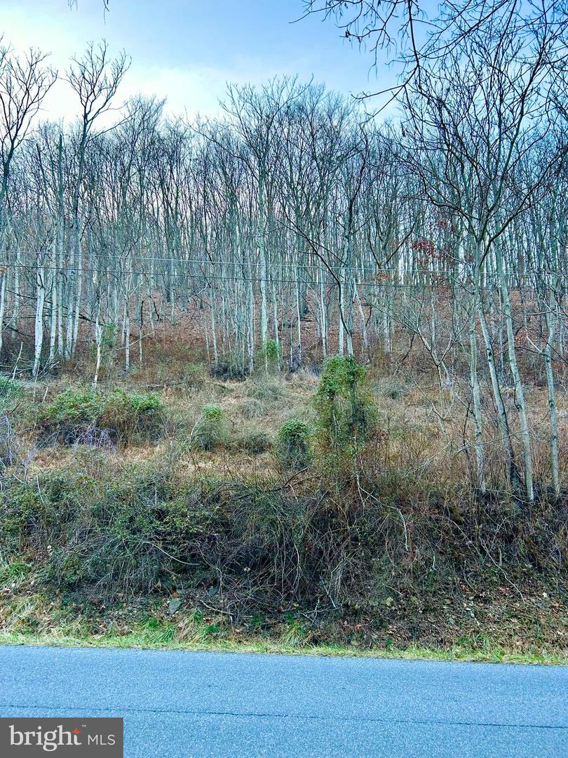 LOT 11B LUCAS HOLLOW RD, STANLEY, Virginia 22851, ,Land,For sale,LOT 11B LUCAS HOLLOW RD,VAPA2004684 MLS # VAPA2004684