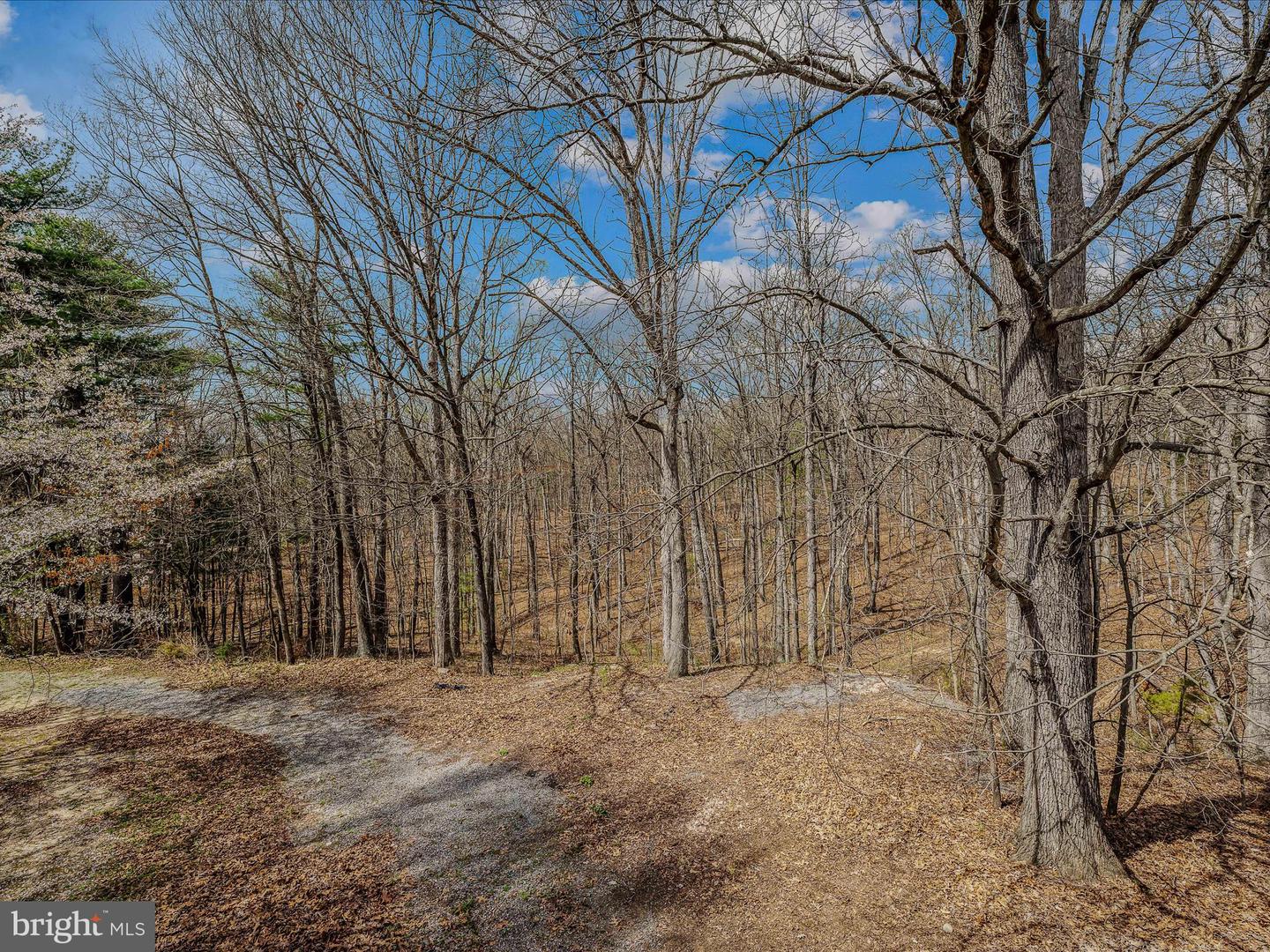 249 MINERAL SPRINGS DR, FRONT ROYAL, Virginia 22630, 6 Bedrooms Bedrooms, ,4 BathroomsBathrooms,Residential,For sale,249 MINERAL SPRINGS DR,VAWR2010672 MLS # VAWR2010672