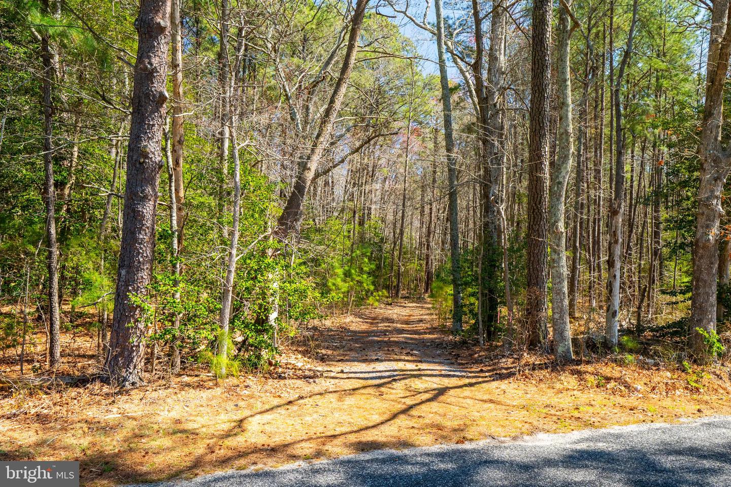 0 FOX POINT ROAD, REEDVILLE, Virginia 22539, ,Farm,For sale,0 FOX POINT ROAD,VANV2001498 MLS # VANV2001498