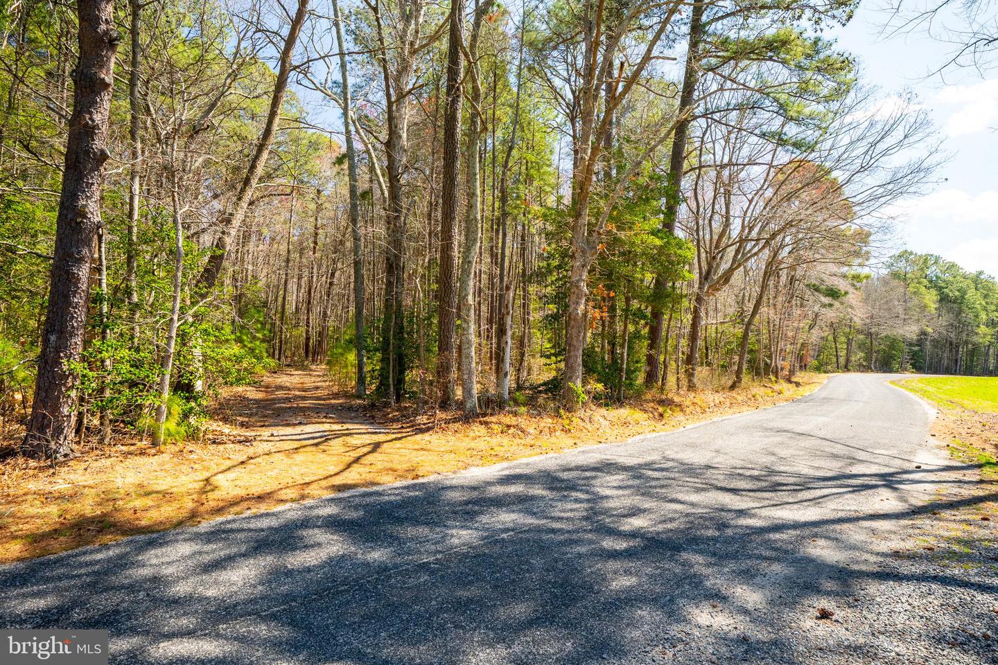 0 FOX POINT ROAD, REEDVILLE, Virginia 22539, ,Farm,For sale,0 FOX POINT ROAD,VANV2001498 MLS # VANV2001498