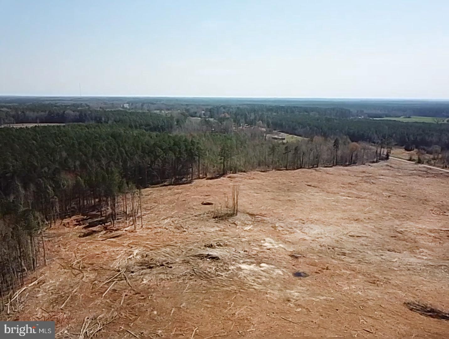 TBD-0 CHALK LEVEL RD #1, ALBERTA, Virginia 23821, ,Land,For sale,TBD-0 CHALK LEVEL RD #1,VABW2000066 MLS # VABW2000066