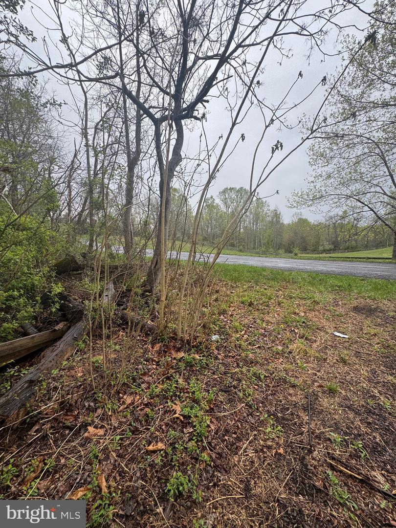 OLD STILLHOUSE RD, CULPEPER, Virginia 22701, ,Land,For sale,OLD STILLHOUSE RD,VACU2010182 MLS # VACU2010182