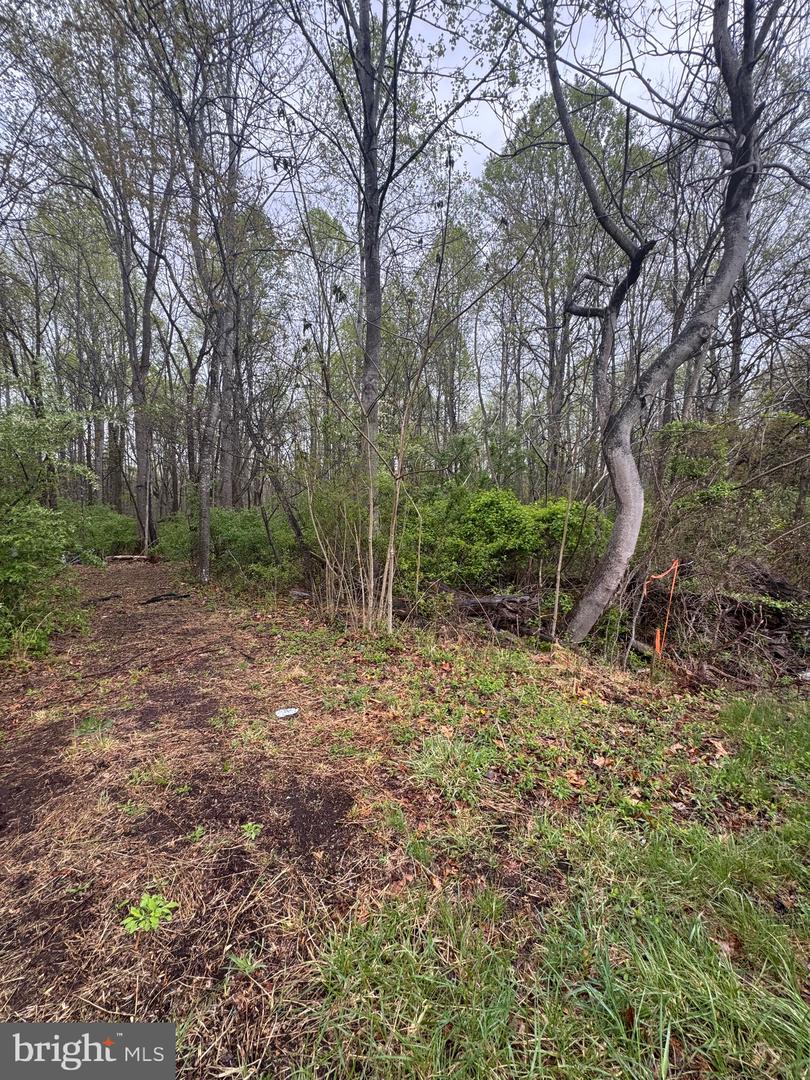 OLD STILLHOUSE RD, CULPEPER, Virginia 22701, ,Land,For sale,OLD STILLHOUSE RD,VACU2010182 MLS # VACU2010182