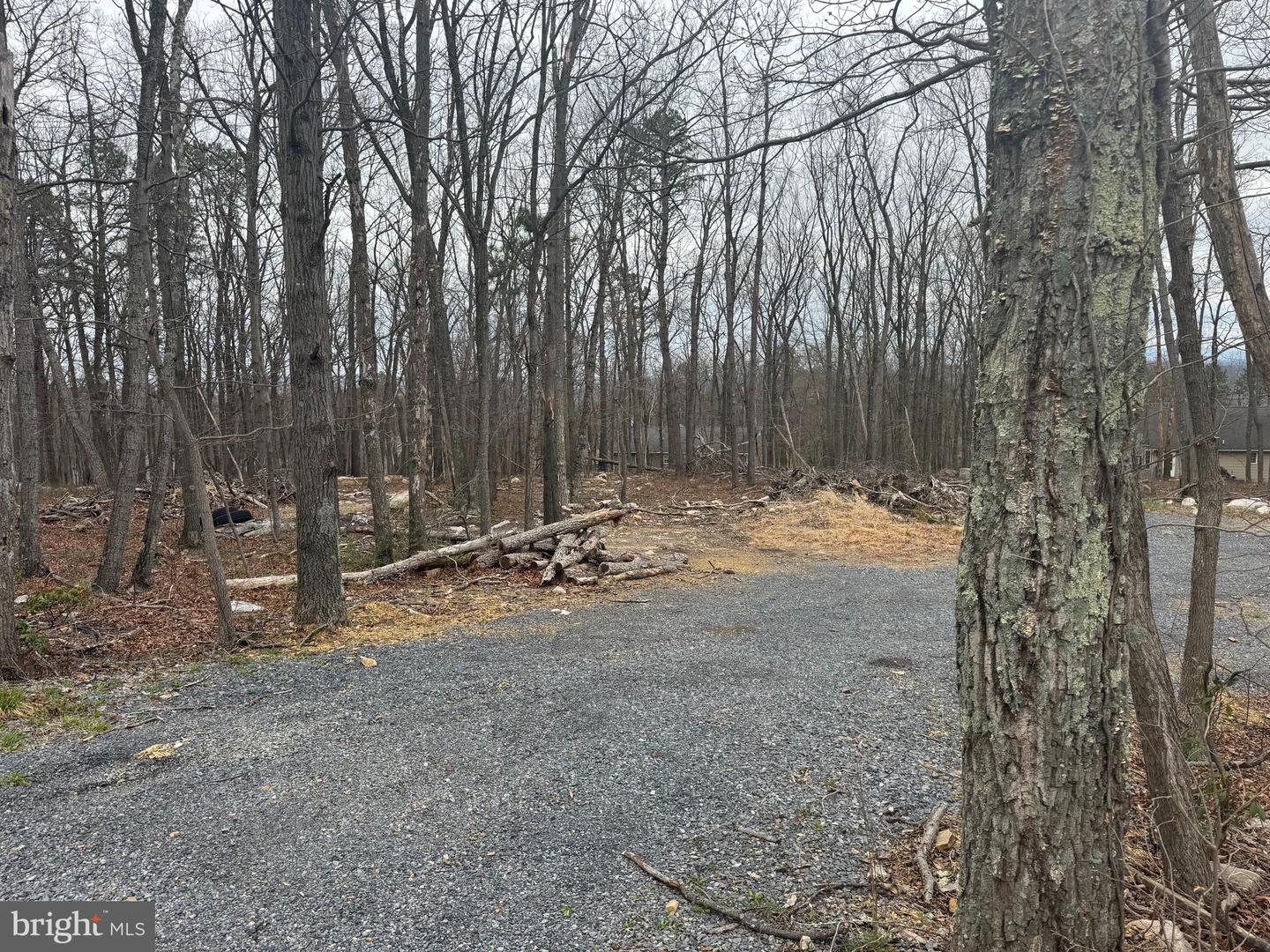 BLUEBIRD TRAIL, WINCHESTER, Virginia 22602, ,Land,For sale,BLUEBIRD TRAIL,VAFV2033226 MLS # VAFV2033226