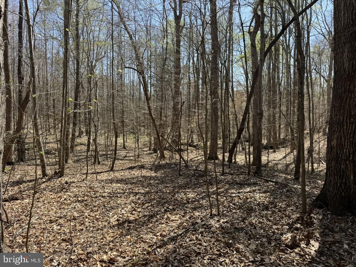 0 WHIPPING CREEK RD, GLADYS, Virginia 24554, ,Land,For sale,0 WHIPPING CREEK RD,VACP2000068 MLS # VACP2000068