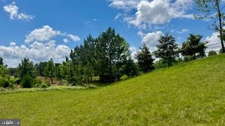 1615 CROWELL RD, VIENNA, Virginia 22182, ,Land,For sale,1615 CROWELL RD,VAFX2231864 MLS # VAFX2231864