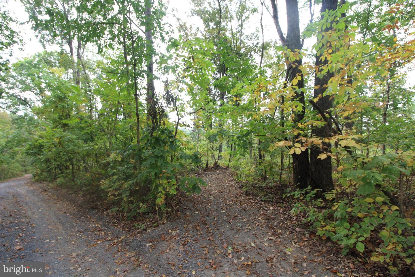 0 HILLTOP / MOCKINGBIRD LANE LOT 19, MOUNT JACKSON, Virginia 22842, ,Land,For sale,0 HILLTOP / MOCKINGBIRD LANE LOT 19,VASH2011100 MLS # VASH2011100