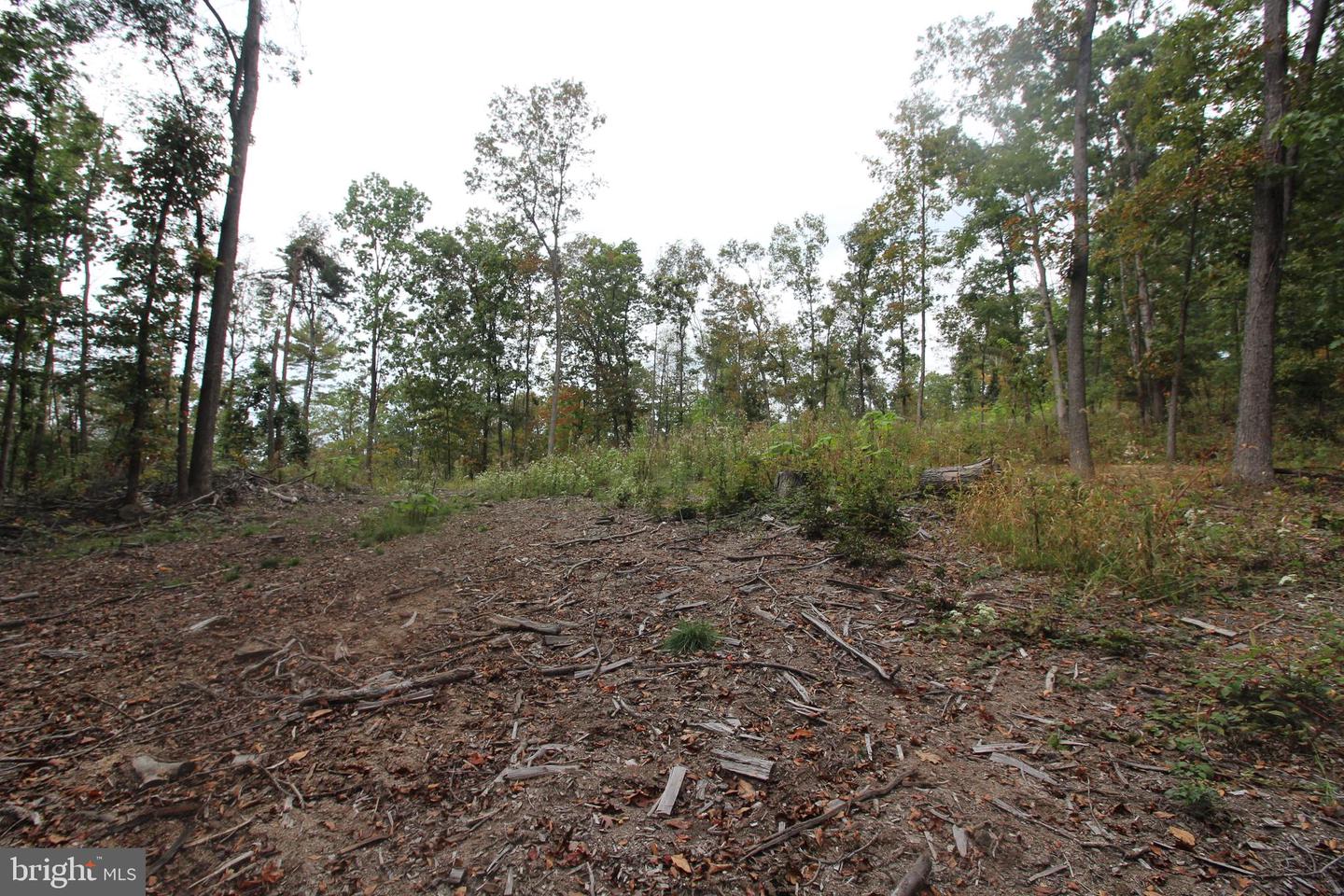 0 MOCKINGBIRD LANE- LOT 21, MOUNT JACKSON, Virginia 22842, ,Land,For sale,0 MOCKINGBIRD LANE- LOT 21,VASH2011104 MLS # VASH2011104
