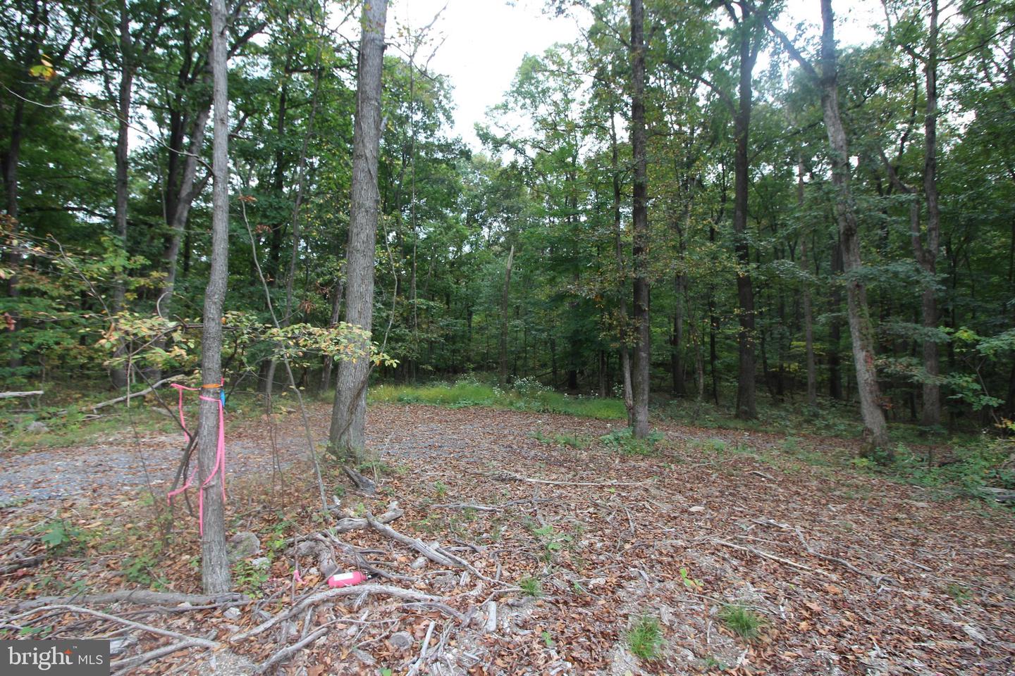 0 MOCKINGBIRD LANE- LOT 21, MOUNT JACKSON, Virginia 22842, ,Land,For sale,0 MOCKINGBIRD LANE- LOT 21,VASH2011104 MLS # VASH2011104
