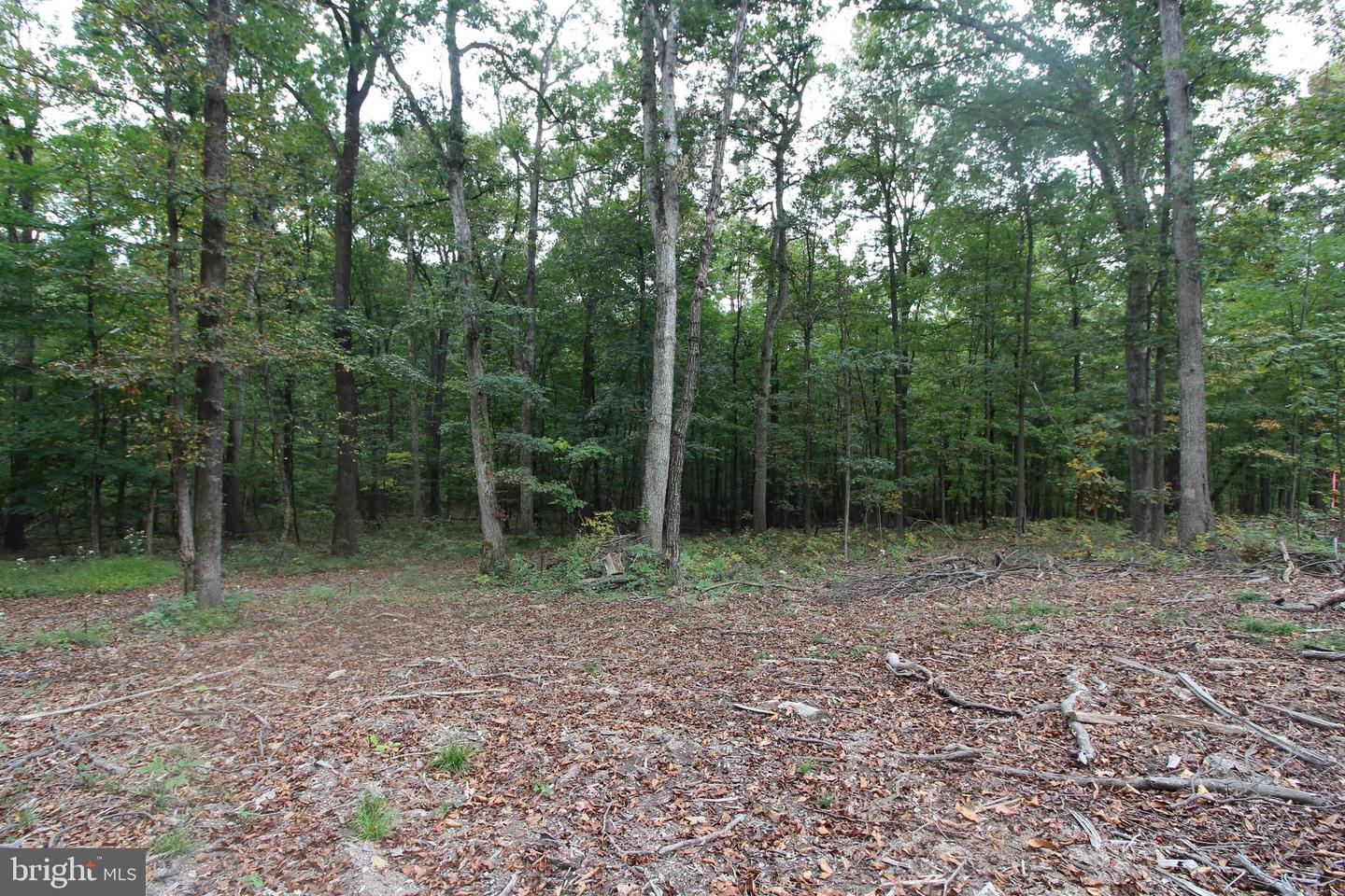 0 MOCKINGBIRD LANE- LOT 21, MOUNT JACKSON, Virginia 22842, ,Land,For sale,0 MOCKINGBIRD LANE- LOT 21,VASH2011104 MLS # VASH2011104