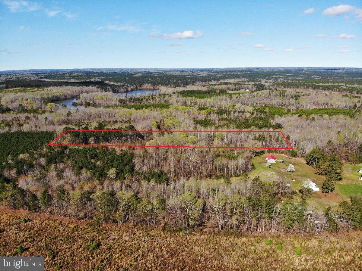 0 TAYLOR LN, LAWRENCEVILLE, Virginia 23868, ,Land,For sale,0 TAYLOR LN,VABW2000068 MLS # VABW2000068