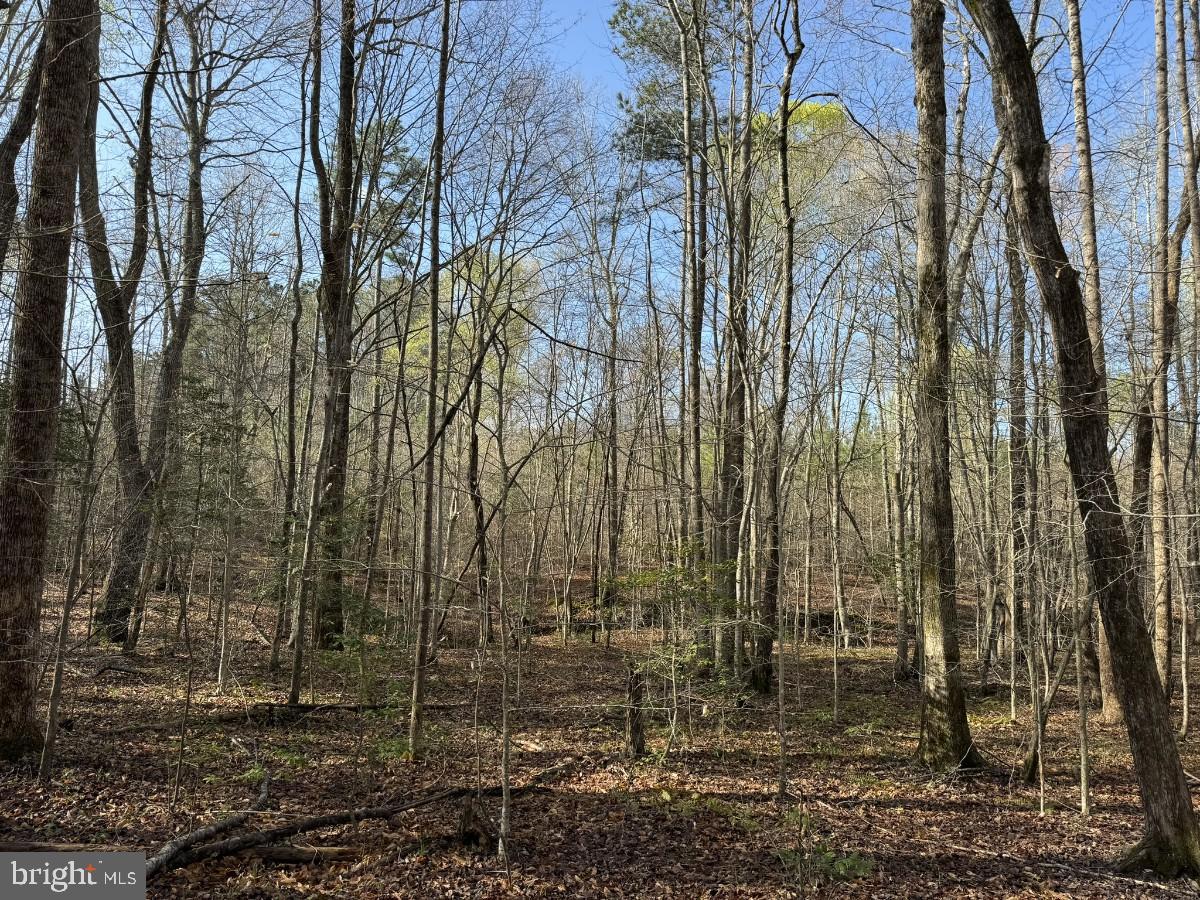 0 TAYLOR LN, LAWRENCEVILLE, Virginia 23868, ,Land,For sale,0 TAYLOR LN,VABW2000068 MLS # VABW2000068
