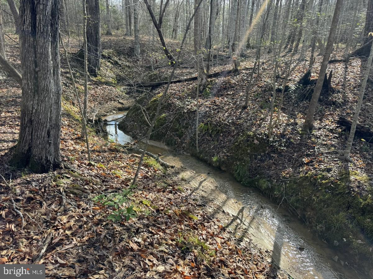 0 TAYLOR LN, LAWRENCEVILLE, Virginia 23868, ,Land,For sale,0 TAYLOR LN,VABW2000068 MLS # VABW2000068
