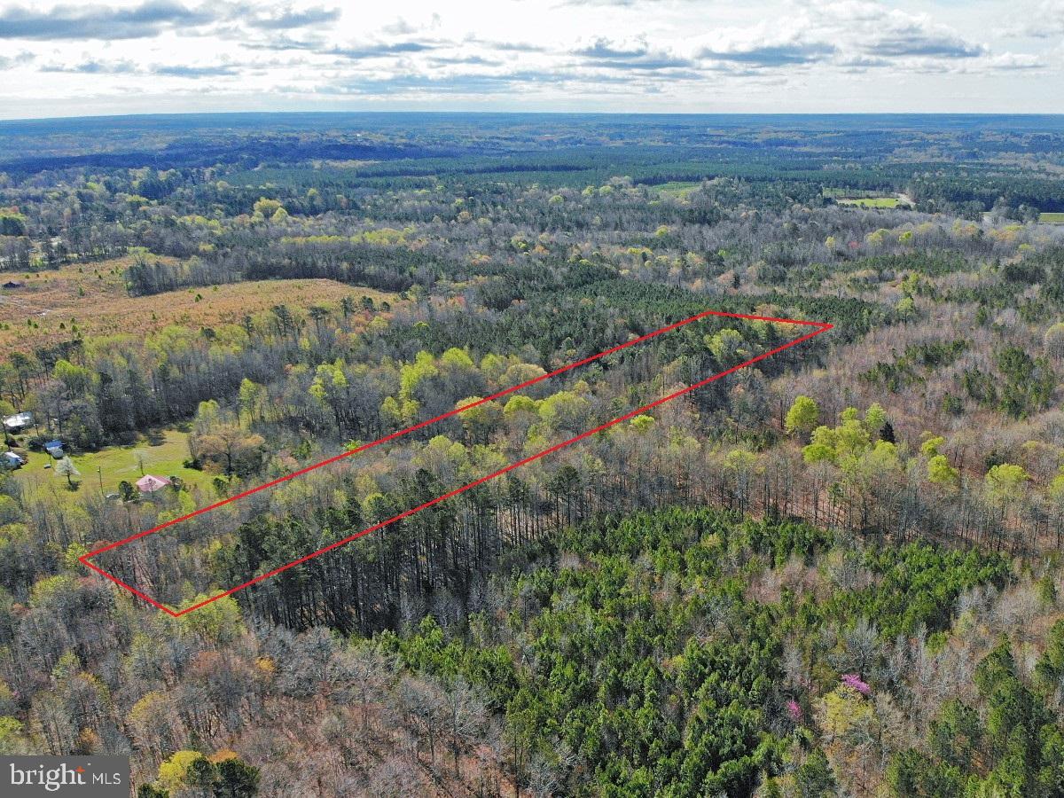 0 TAYLOR LN, LAWRENCEVILLE, Virginia 23868, ,Land,For sale,0 TAYLOR LN,VABW2000068 MLS # VABW2000068