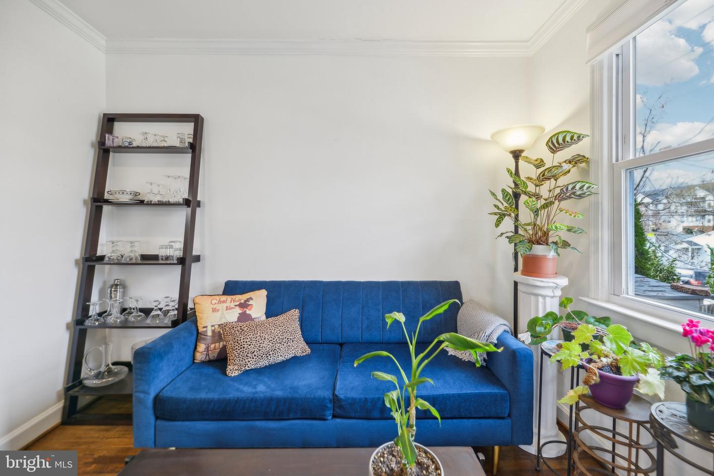 39 E REED AVE, ALEXANDRIA, Virginia 22305, 2 Bedrooms Bedrooms, ,2 BathroomsBathrooms,Residential,For sale,39 E REED AVE,VAAX2043092 MLS # VAAX2043092