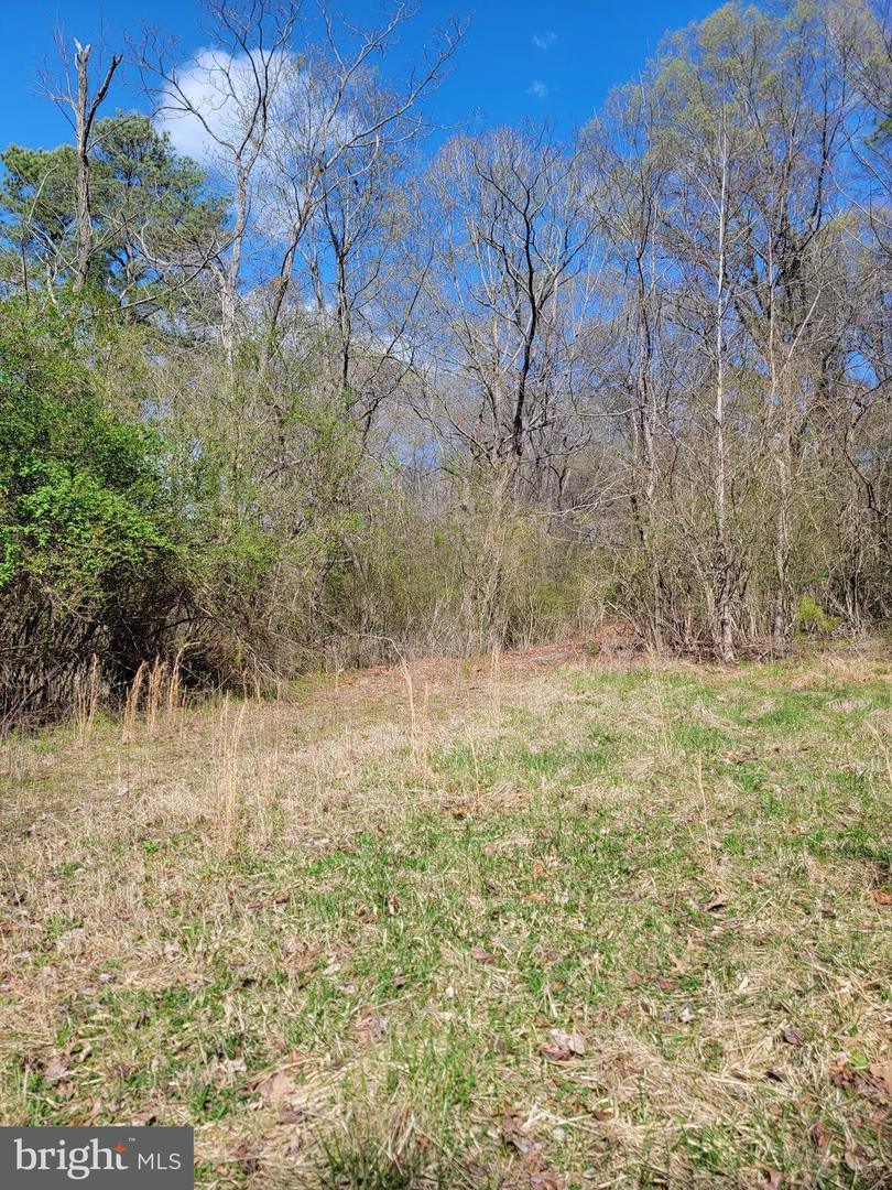 922 SKIPJACK RD, KINSALE, Virginia 22488, ,Land,For sale,922 SKIPJACK RD,VAWE2008632 MLS # VAWE2008632