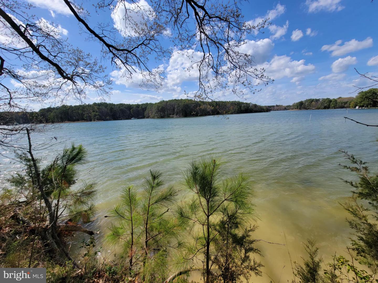 922 SKIPJACK RD, KINSALE, Virginia 22488, ,Land,For sale,922 SKIPJACK RD,VAWE2008632 MLS # VAWE2008632