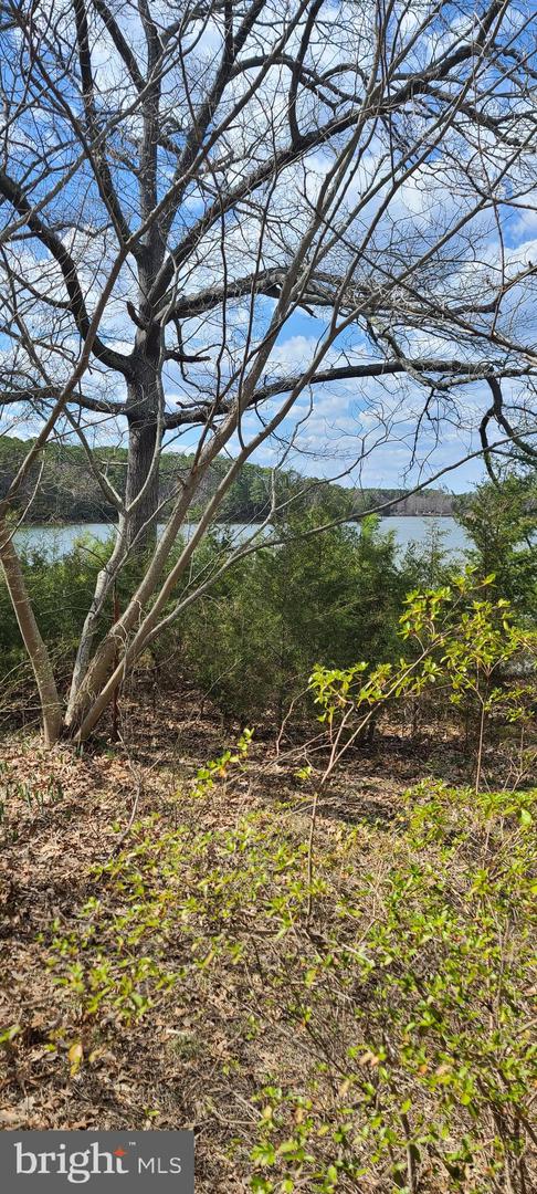 922 SKIPJACK RD, KINSALE, Virginia 22488, ,Land,For sale,922 SKIPJACK RD,VAWE2008632 MLS # VAWE2008632