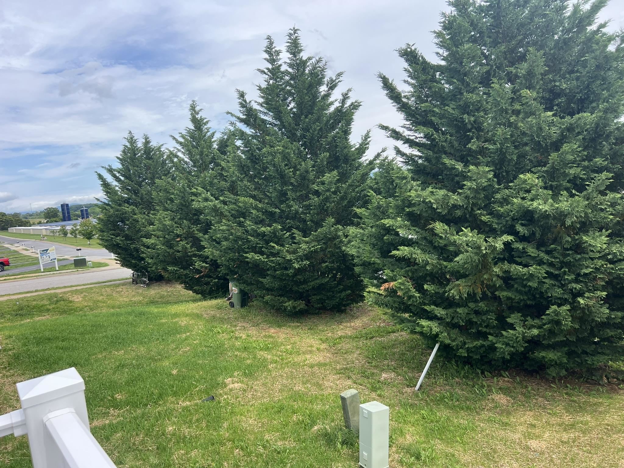 79 MERIWETHER CIR, STUARTS DRAFT, Virginia 24477, 3 Bedrooms Bedrooms, ,2 BathroomsBathrooms,Residential,79 MERIWETHER CIR,662842 MLS # 662842
