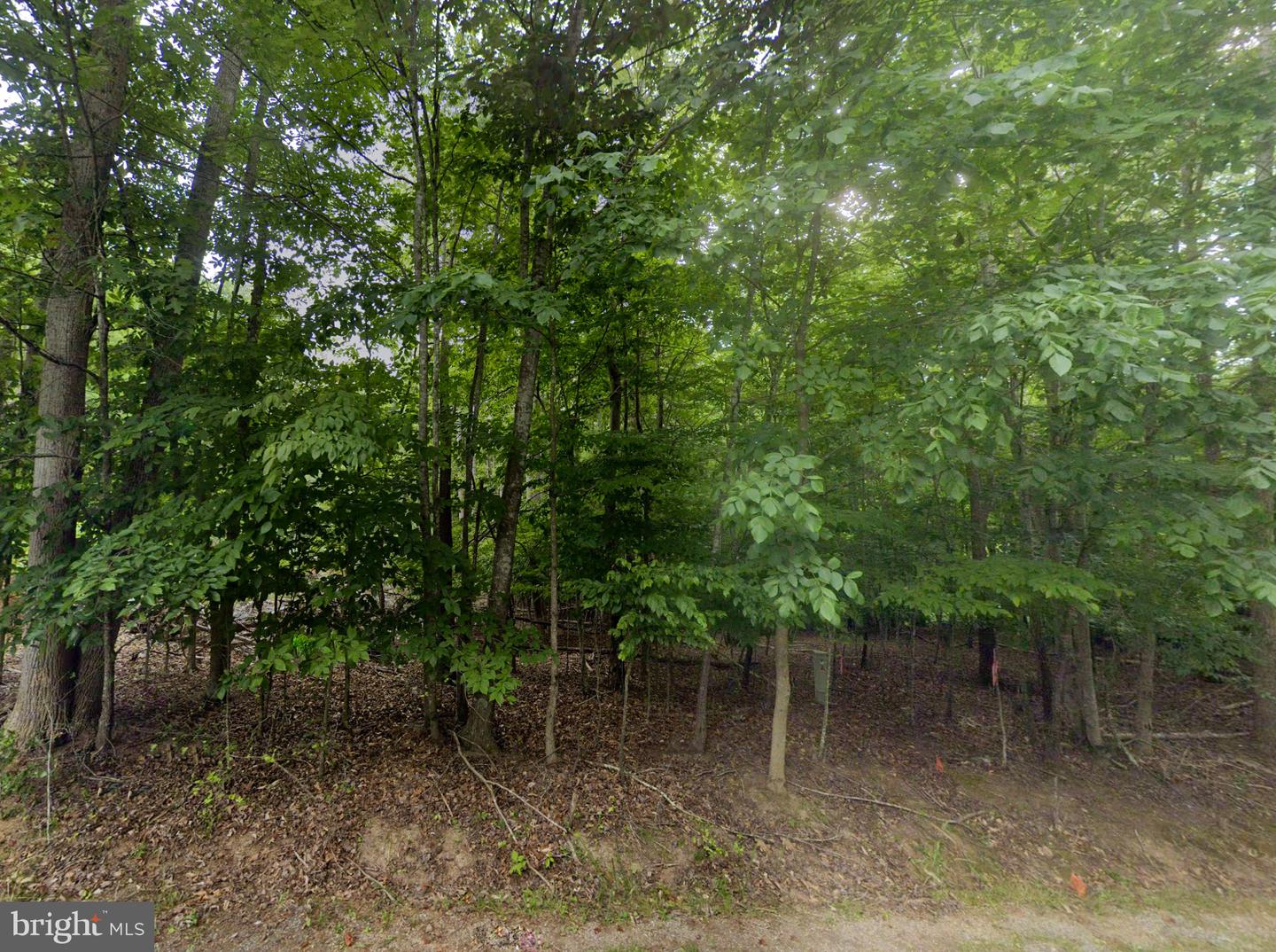 00 RED FOX LN, MONETA, Virginia 24121, ,Land,For sale,00 RED FOX LN,VABV2000188 MLS # VABV2000188