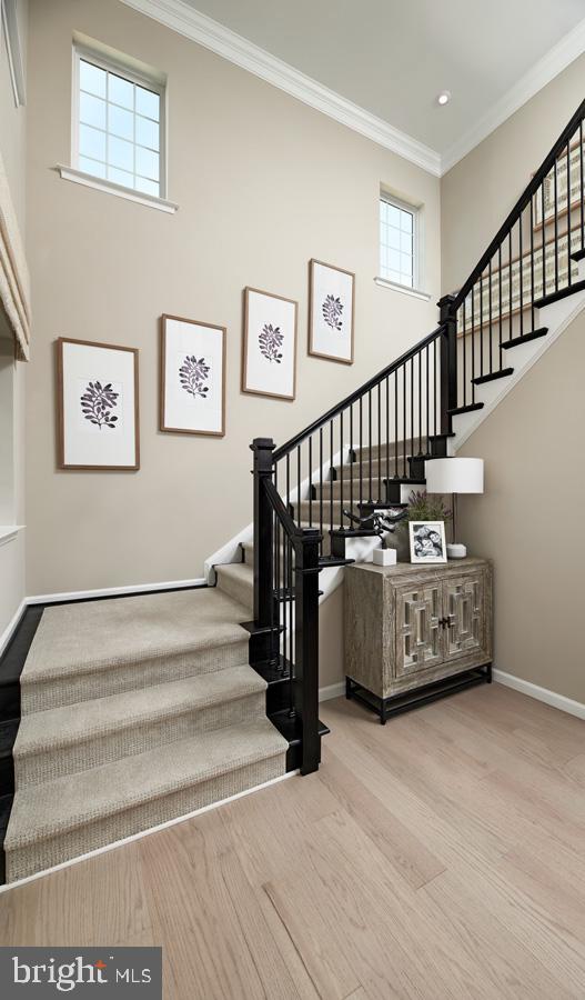 217 CAMWOOD CT, FREDERICKSBURG, Virginia 22405, 7 Bedrooms Bedrooms, ,5 BathroomsBathrooms,Residential,For sale,217 CAMWOOD CT,VAST2037636 MLS # VAST2037636