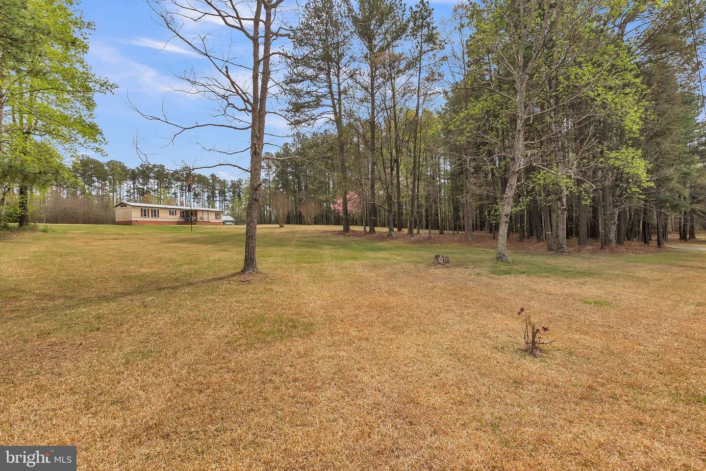 309 L SHORTMANS RD, MINERAL, Virginia 23117, ,Land,For sale,309 L SHORTMANS RD,VALA2007620 MLS # VALA2007620