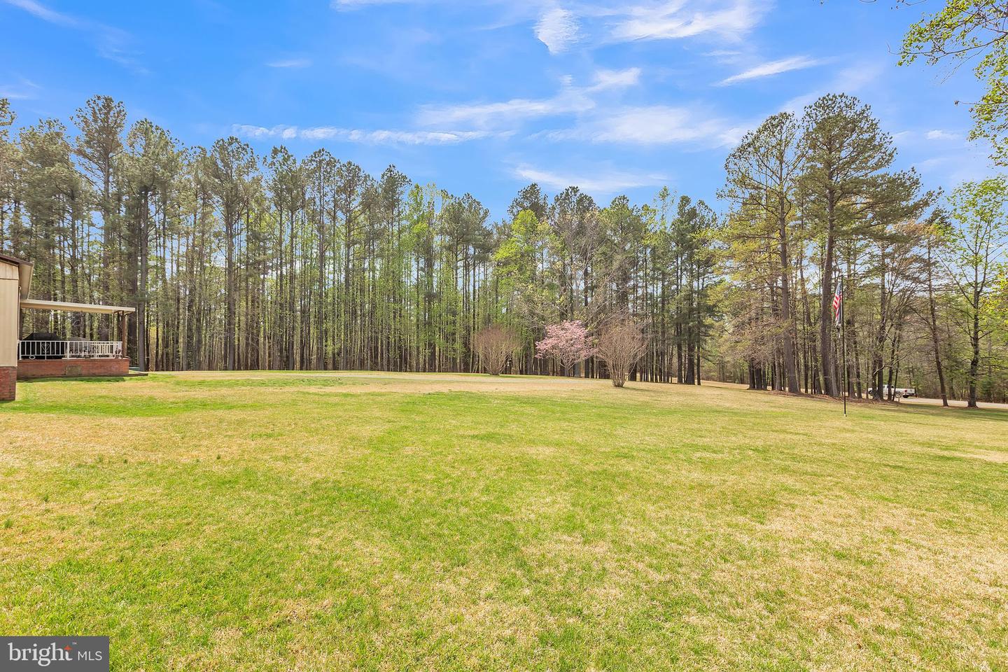 309 L SHORTMANS RD, MINERAL, Virginia 23117, ,Land,For sale,309 L SHORTMANS RD,VALA2007620 MLS # VALA2007620