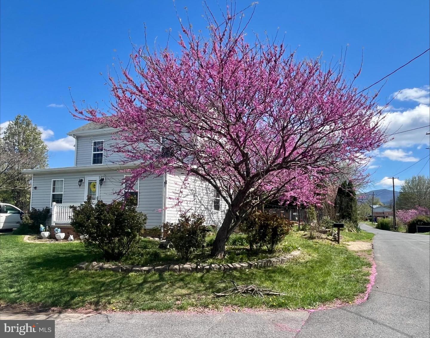 206 WOODLAND AVE, LURAY, Virginia 22835, 3 Bedrooms Bedrooms, ,2 BathroomsBathrooms,Residential,For sale,206 WOODLAND AVE,VAPA2004726 MLS # VAPA2004726