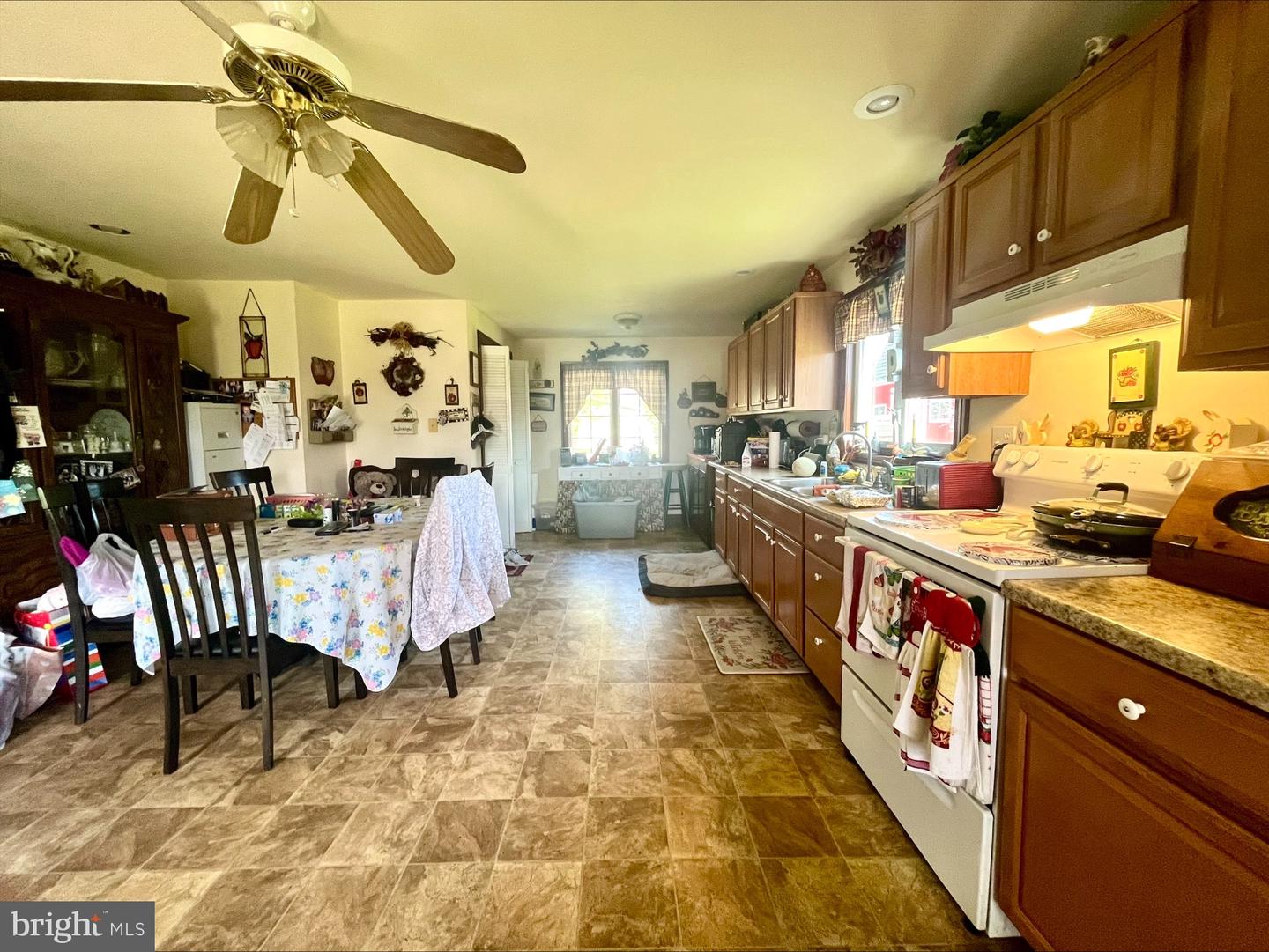 206 WOODLAND AVE, LURAY, Virginia 22835, 3 Bedrooms Bedrooms, ,2 BathroomsBathrooms,Residential,For sale,206 WOODLAND AVE,VAPA2004726 MLS # VAPA2004726