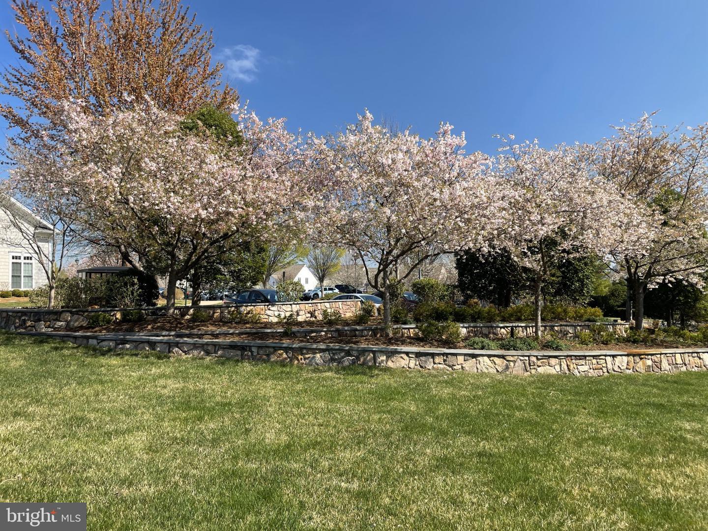 44485 MALTESE FALCON SQ, ASHBURN, Virginia 20147, 2 Bedrooms Bedrooms, ,2 BathroomsBathrooms,Residential,For sale,44485 MALTESE FALCON SQ,VALO2091198 MLS # VALO2091198