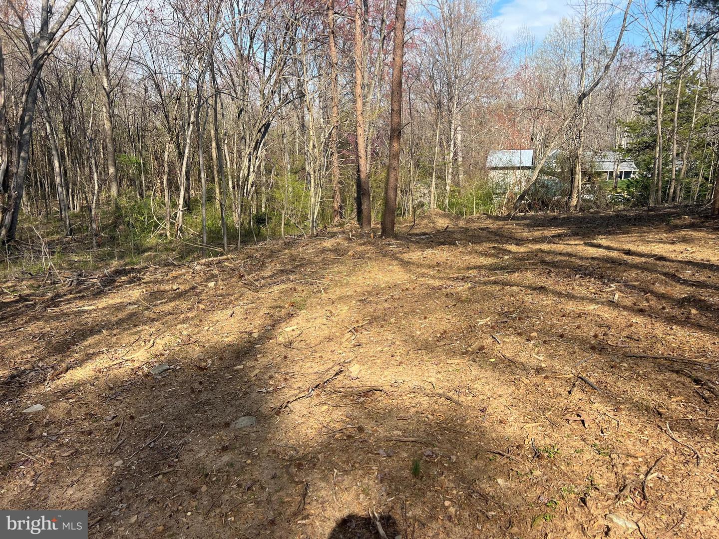 HISTORIC LANE, MINERAL, Virginia 23117, ,Land,For sale,HISTORIC LANE,VALA2007630 MLS # VALA2007630