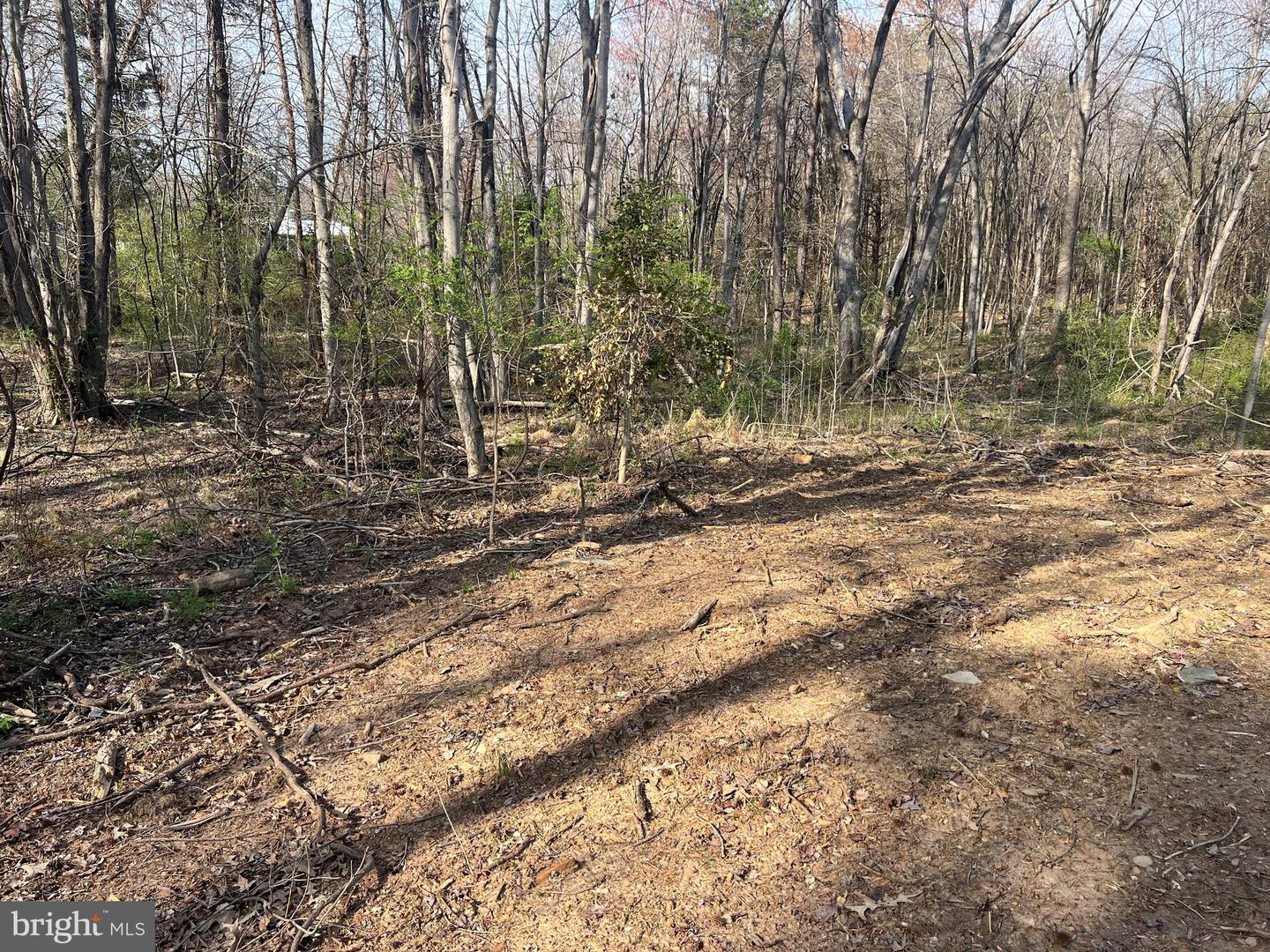 HISTORIC LANE, MINERAL, Virginia 23117, ,Land,For sale,HISTORIC LANE,VALA2007630 MLS # VALA2007630