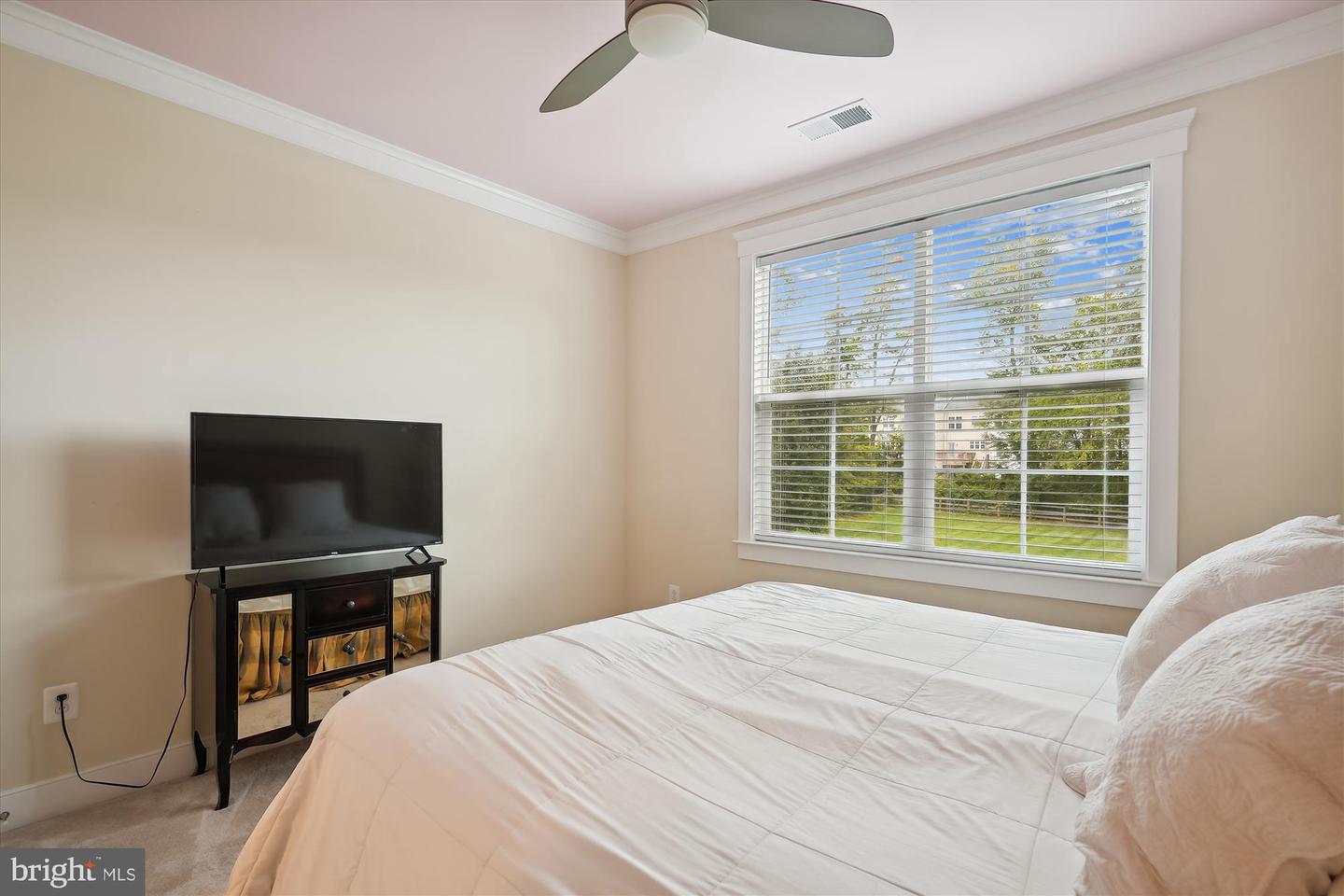 16921 PURCELLVILLE RD, PURCELLVILLE, Virginia 20132, 5 Bedrooms Bedrooms, ,4 BathroomsBathrooms,Residential,For sale,16921 PURCELLVILLE RD,VALO2091768 MLS # VALO2091768