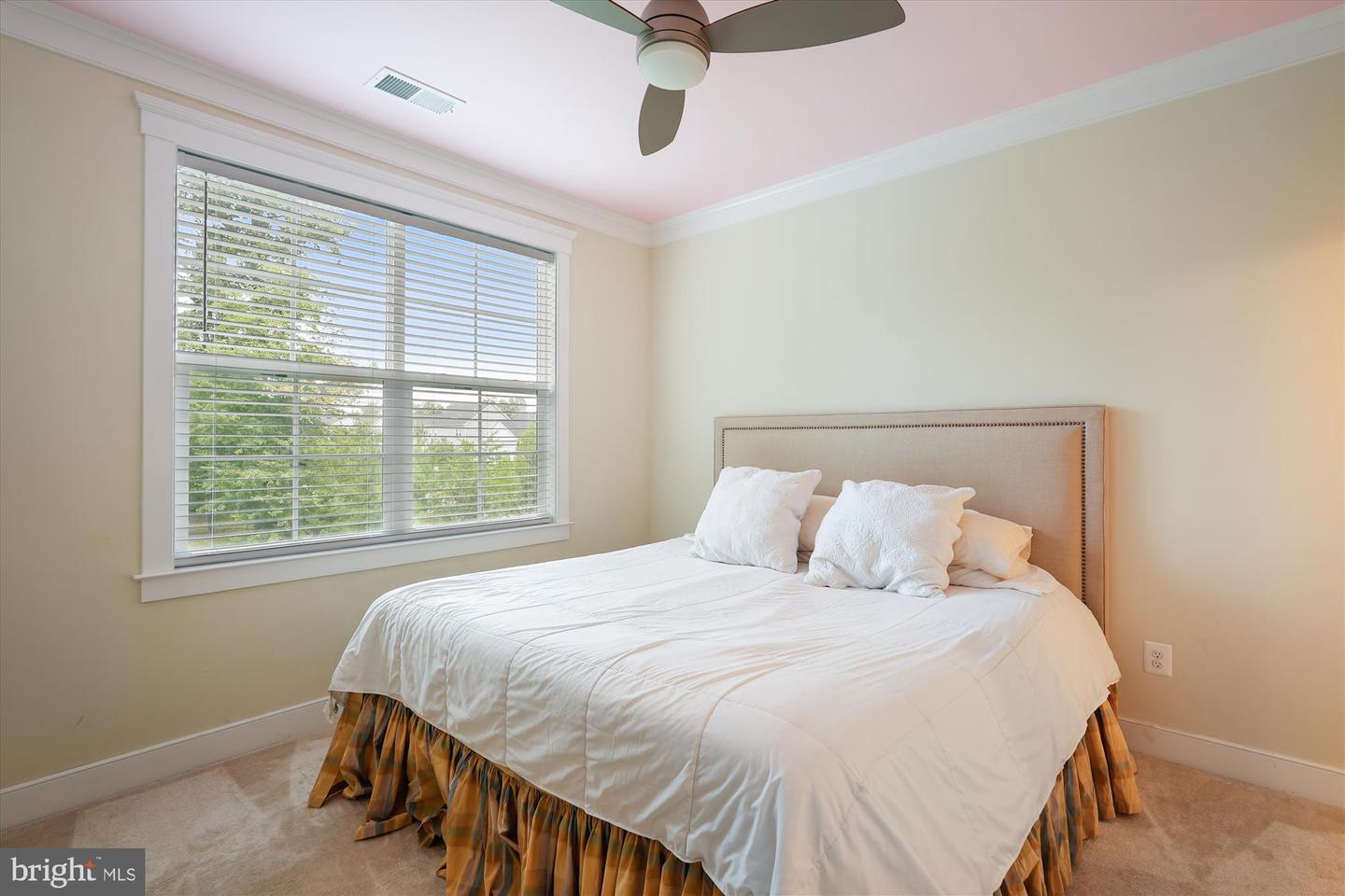 16921 PURCELLVILLE RD, PURCELLVILLE, Virginia 20132, 5 Bedrooms Bedrooms, ,4 BathroomsBathrooms,Residential,For sale,16921 PURCELLVILLE RD,VALO2091768 MLS # VALO2091768