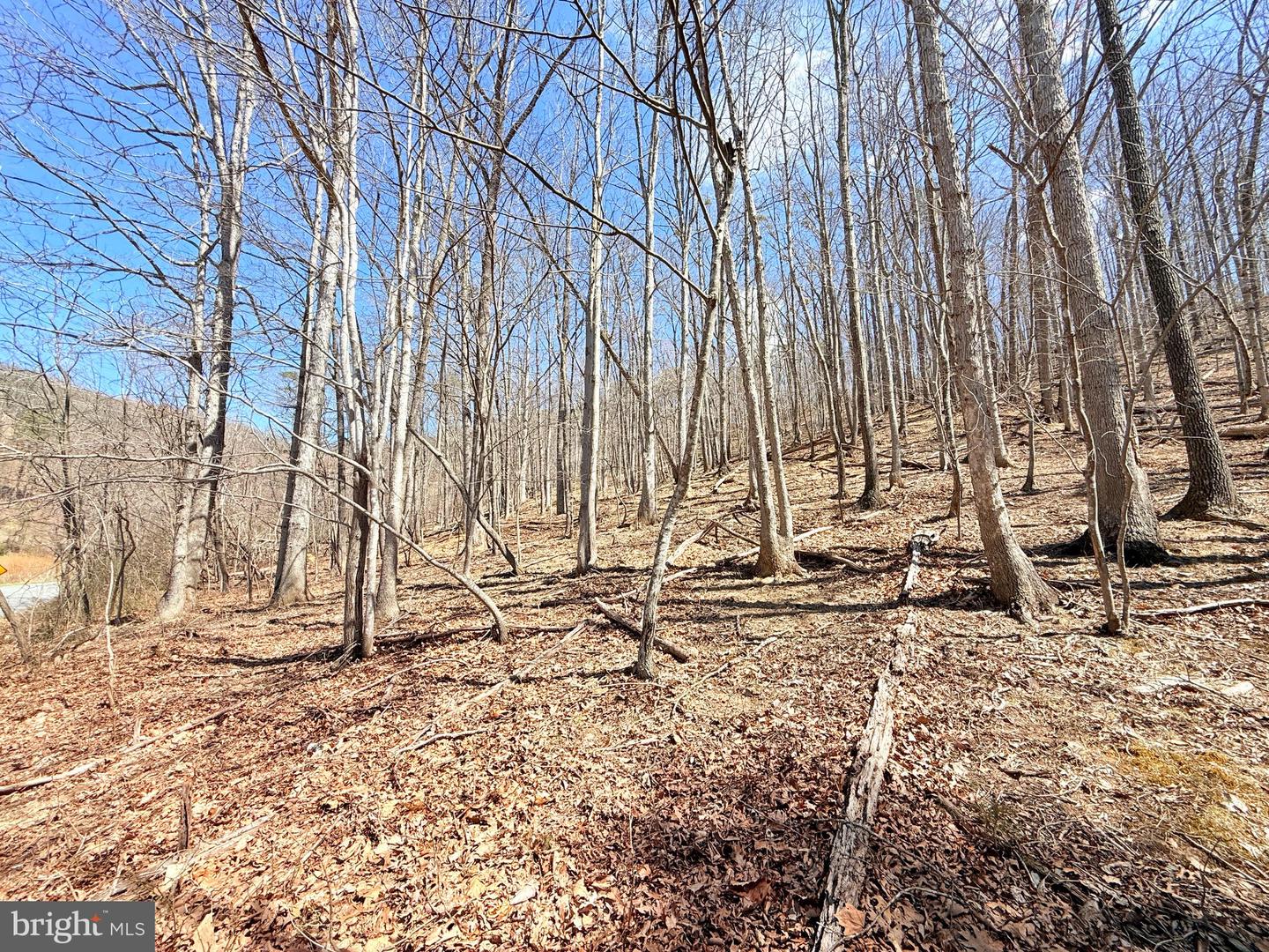 RESERVOIR RD, ROANOKE, Virginia 24050, ,Land,For sale,RESERVOIR RD,VABO2000022 MLS # VABO2000022