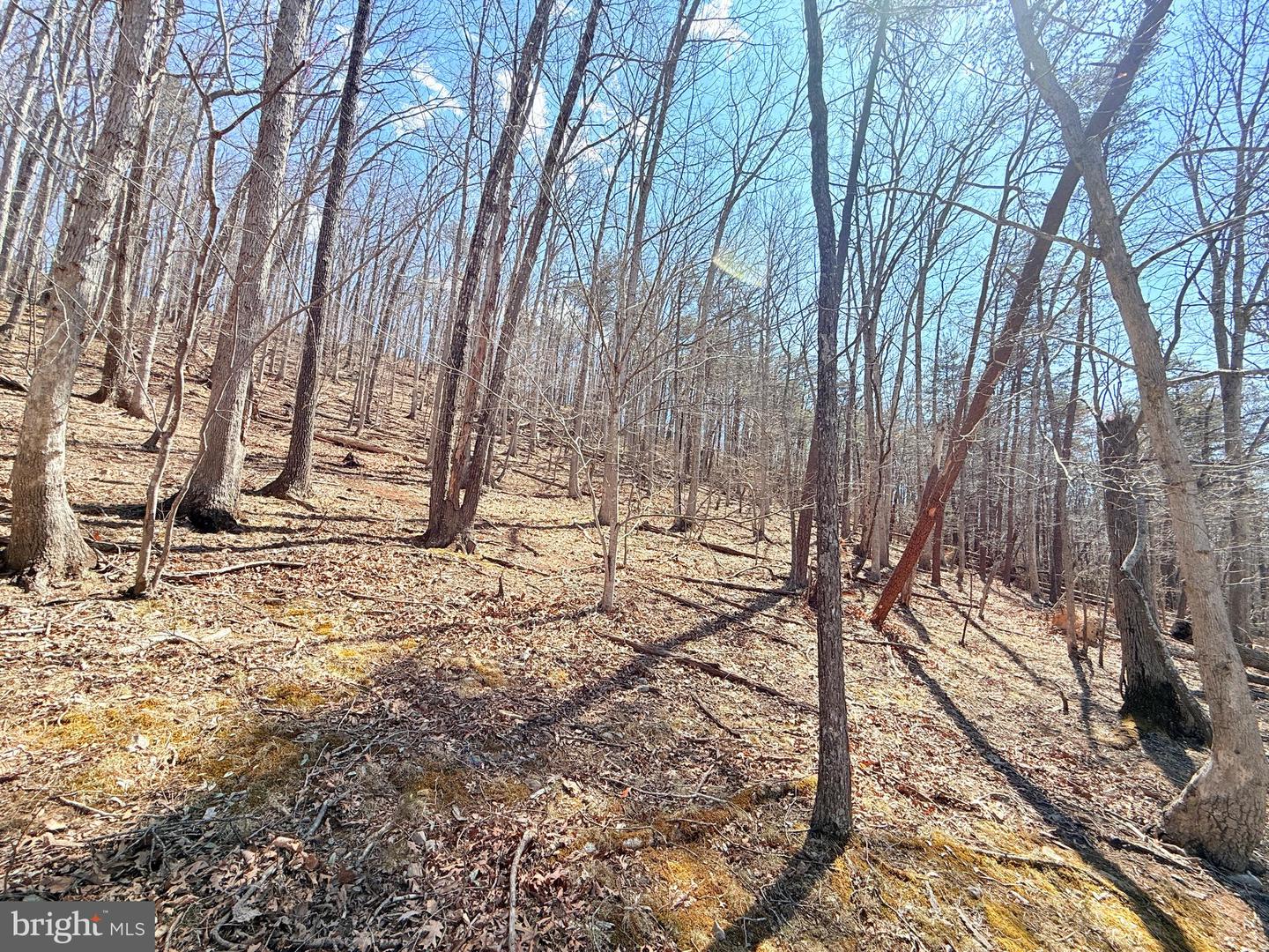 RESERVOIR RD, ROANOKE, Virginia 24050, ,Land,For sale,RESERVOIR RD,VABO2000022 MLS # VABO2000022