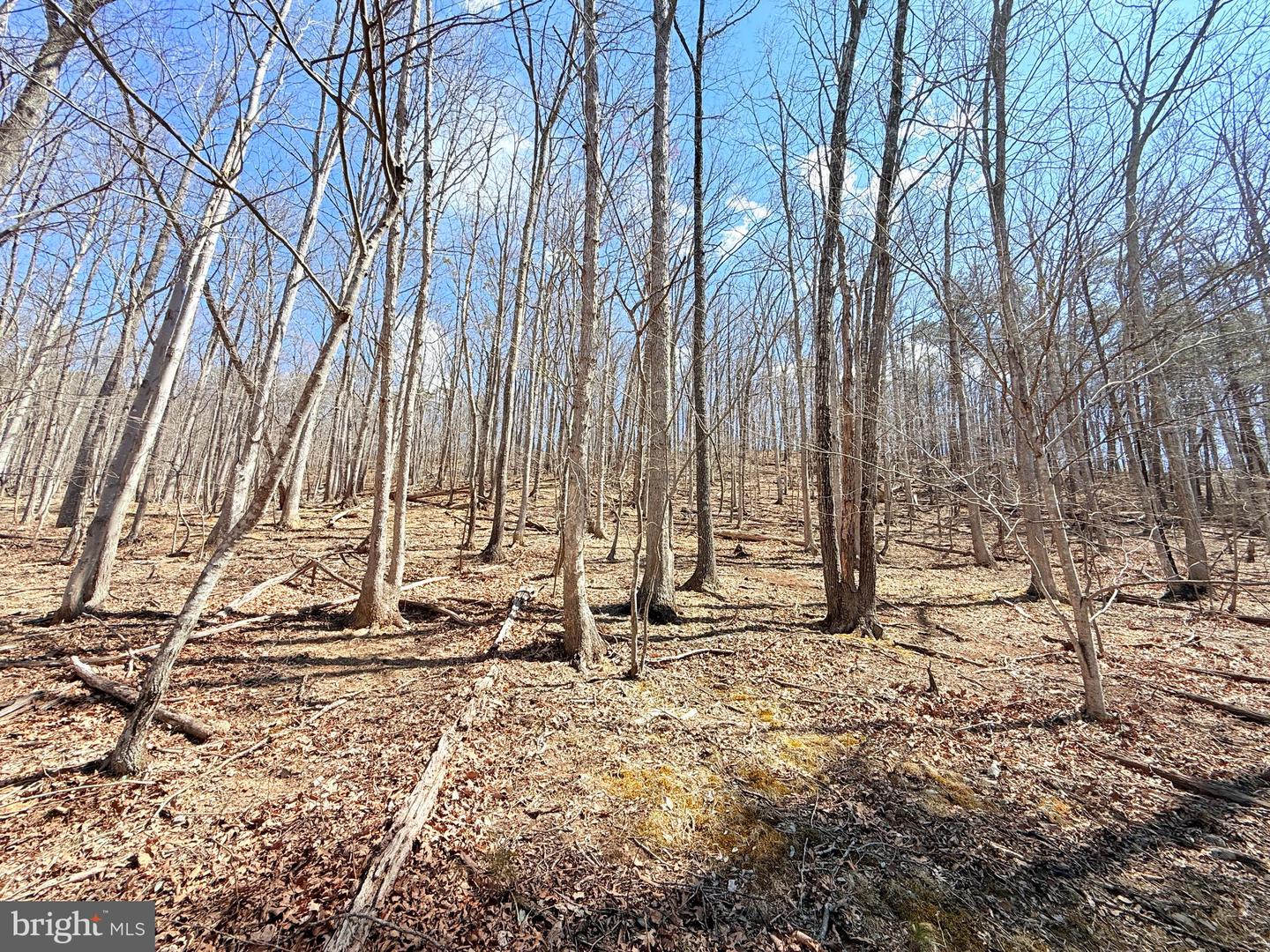 RESERVOIR RD, ROANOKE, Virginia 24050, ,Land,For sale,RESERVOIR RD,VABO2000022 MLS # VABO2000022