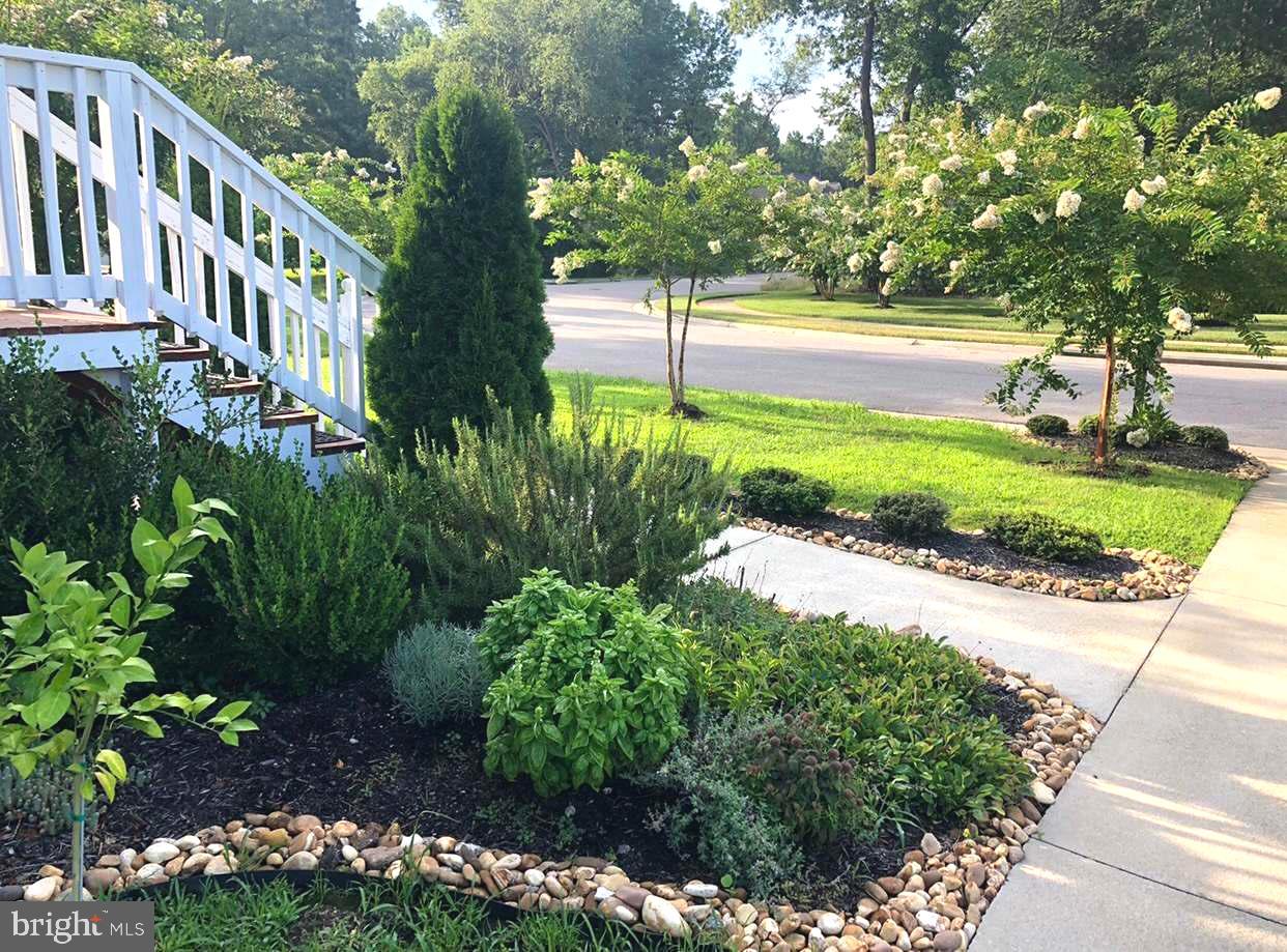 10205 CENTRALIA STATION RD, CHESTER, Virginia 23831, 4 Bedrooms Bedrooms, ,2 BathroomsBathrooms,Residential,For sale,10205 CENTRALIA STATION RD,VACF2001090 MLS # VACF2001090