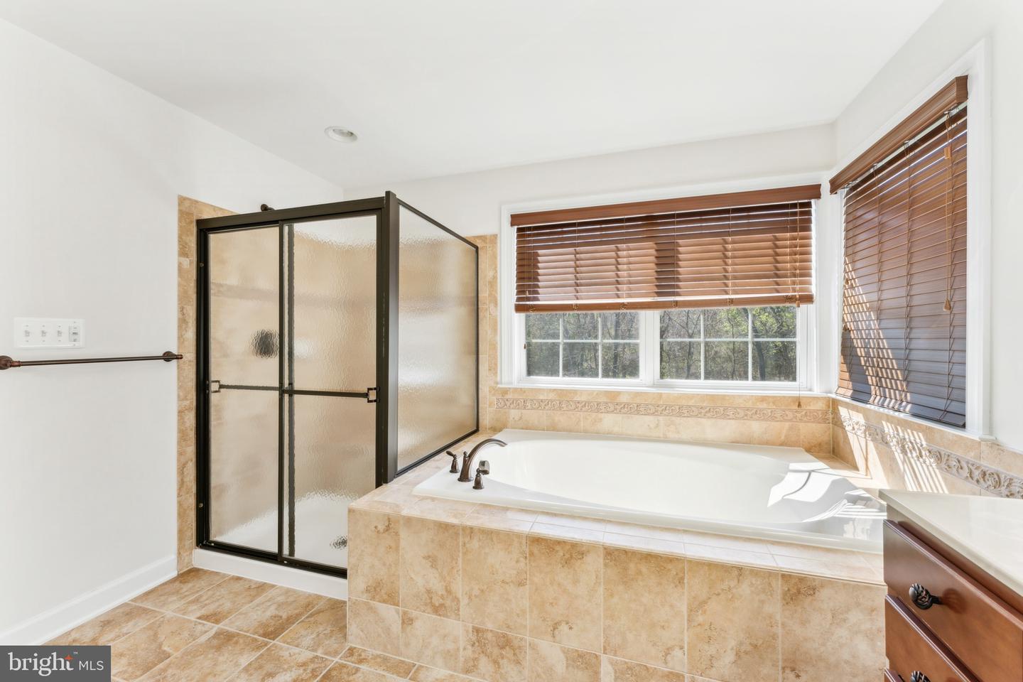 22411 CONSERVANCY DR, ASHBURN, Virginia 20148, 5 Bedrooms Bedrooms, ,4 BathroomsBathrooms,Residential,For sale,22411 CONSERVANCY DR,VALO2093384 MLS # VALO2093384