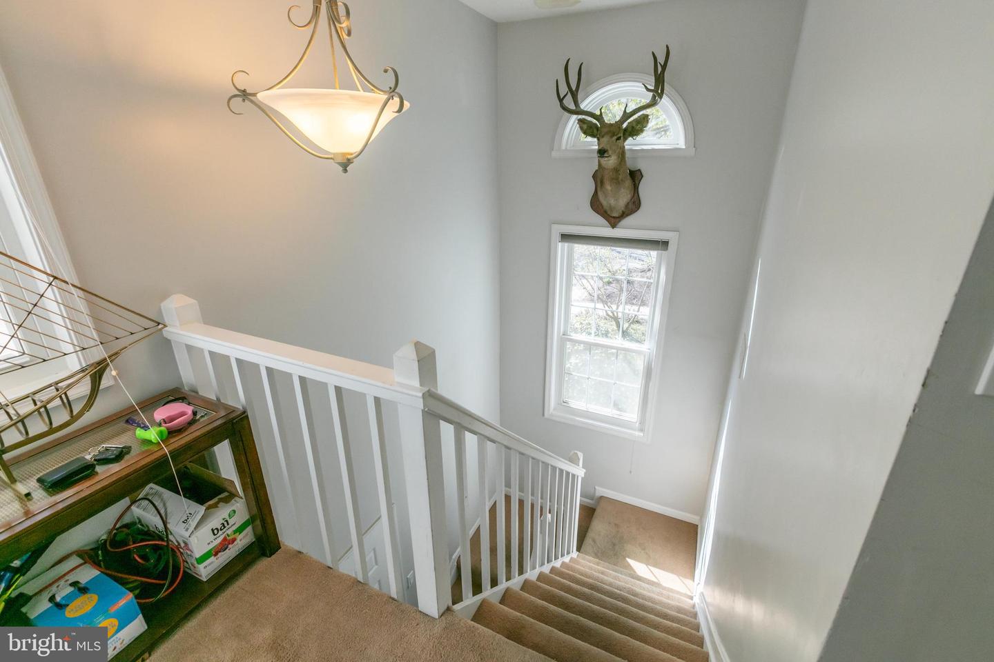 7770 WILLOW POINT DR, FALLS CHURCH, Virginia 22042, 2 Bedrooms Bedrooms, ,2 BathroomsBathrooms,Residential,For sale,7770 WILLOW POINT DR,VAFX2230332 MLS # VAFX2230332