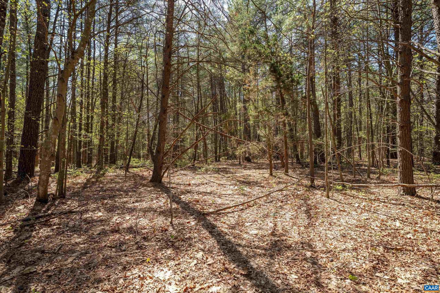 LOT 27 MARTIN KINGS RD #07600, CHARLOTTESVILLE, Virginia 22902, ,Land,For sale,LOT 27 MARTIN KINGS RD #07600,663114 MLS # 663114
