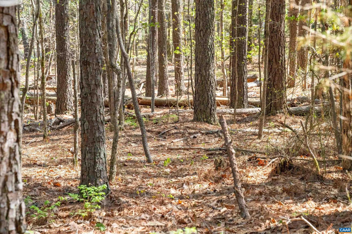 LOT 27 MARTIN KINGS RD #07600, CHARLOTTESVILLE, Virginia 22902, ,Land,For sale,LOT 27 MARTIN KINGS RD #07600,663114 MLS # 663114