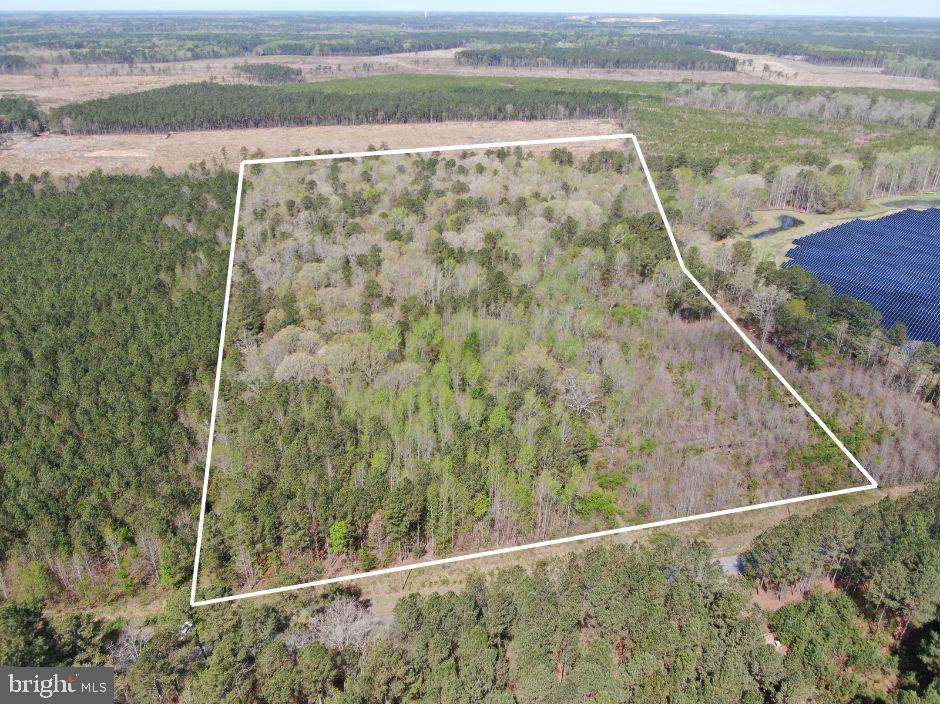 00 COPPAHAUNK RD, WAVERLY, Virginia 23890, ,Land,For sale,00 COPPAHAUNK RD,VASX2000030 MLS # VASX2000030
