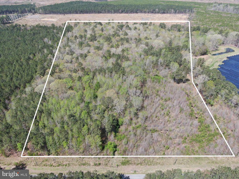 00 COPPAHAUNK RD, WAVERLY, Virginia 23890, ,Land,For sale,00 COPPAHAUNK RD,VASX2000030 MLS # VASX2000030