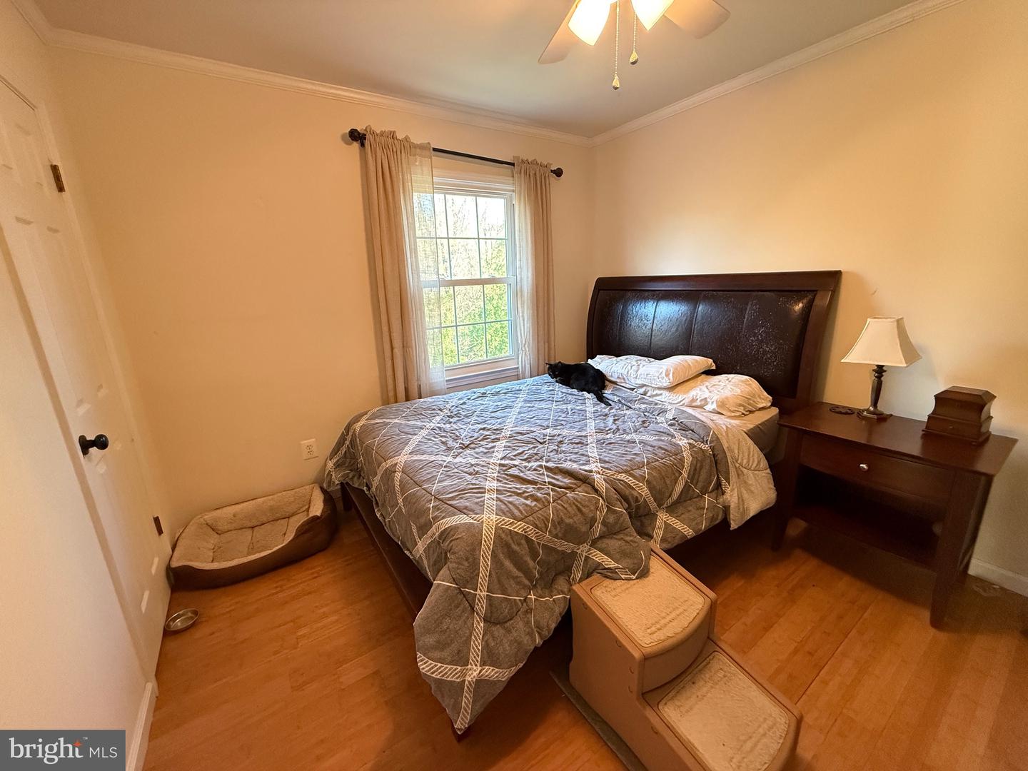 11700 HAZEL RIVER RD, RIXEYVILLE, Virginia 22737, 3 Bedrooms Bedrooms, ,1 BathroomBathrooms,Residential,For sale,11700 HAZEL RIVER RD,VACU2010250 MLS # VACU2010250