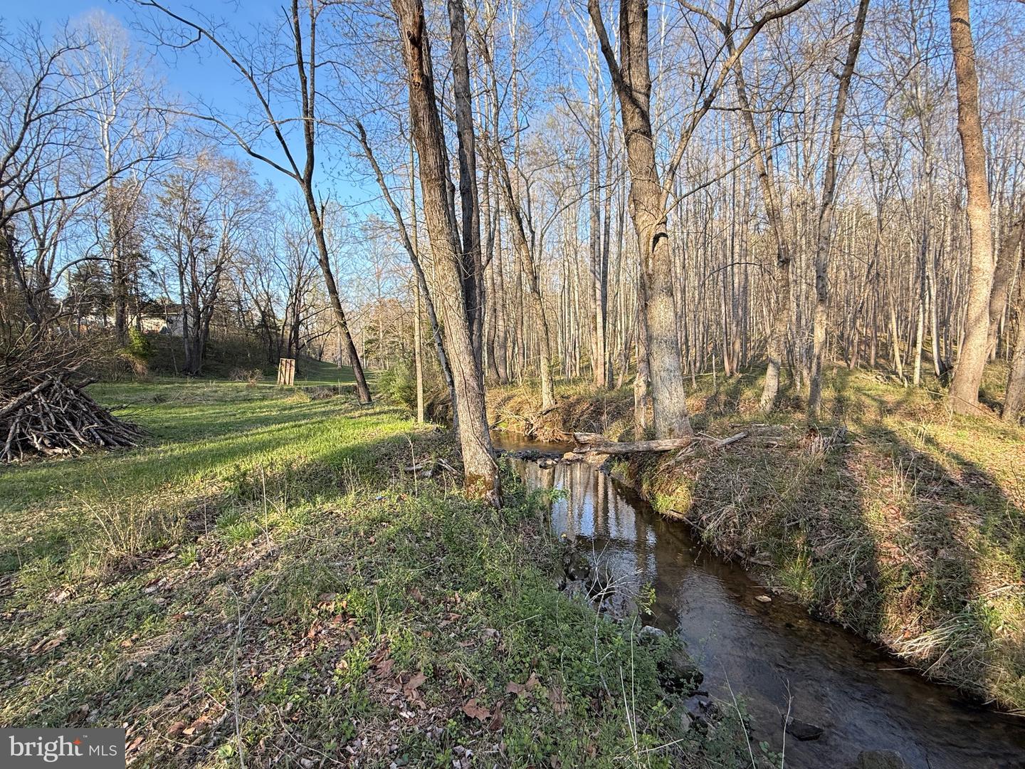 11700 HAZEL RIVER RD, RIXEYVILLE, Virginia 22737, 3 Bedrooms Bedrooms, ,1 BathroomBathrooms,Residential,For sale,11700 HAZEL RIVER RD,VACU2010250 MLS # VACU2010250