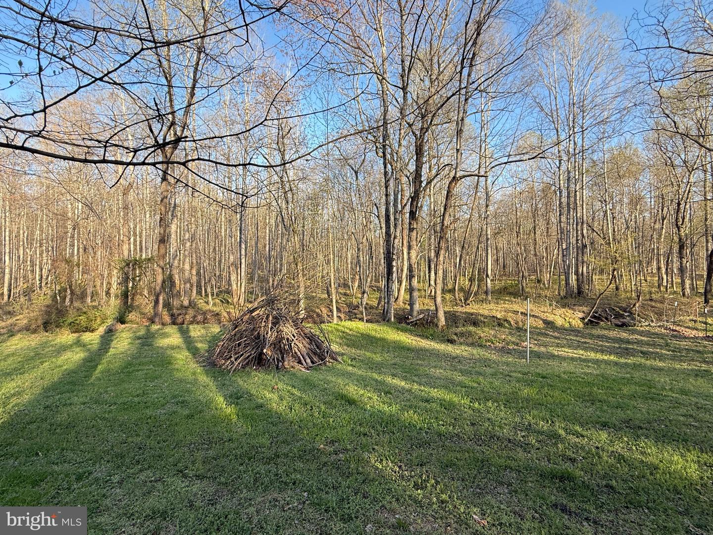 11700 HAZEL RIVER RD, RIXEYVILLE, Virginia 22737, 3 Bedrooms Bedrooms, ,1 BathroomBathrooms,Residential,For sale,11700 HAZEL RIVER RD,VACU2010250 MLS # VACU2010250