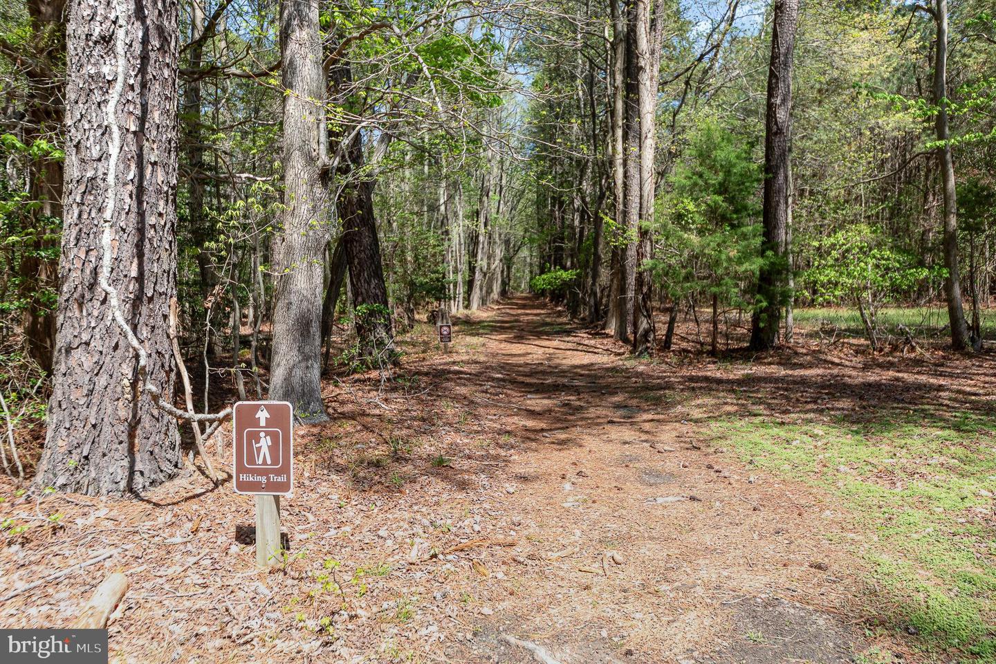 124 ALABAMA DR, HEATHSVILLE, Virginia 22473, 3 Bedrooms Bedrooms, ,2 BathroomsBathrooms,Residential,For sale,124 ALABAMA DR,VANV2001506 MLS # VANV2001506