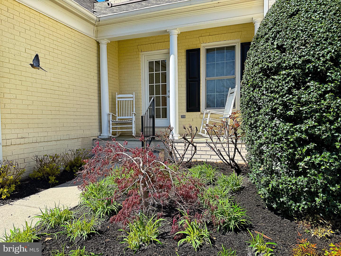 20899 MCINTOSH PL, LEESBURG, Virginia 20175, 5 Bedrooms Bedrooms, ,4 BathroomsBathrooms,Residential,For sale,20899 MCINTOSH PL,VALO2093736 MLS # VALO2093736